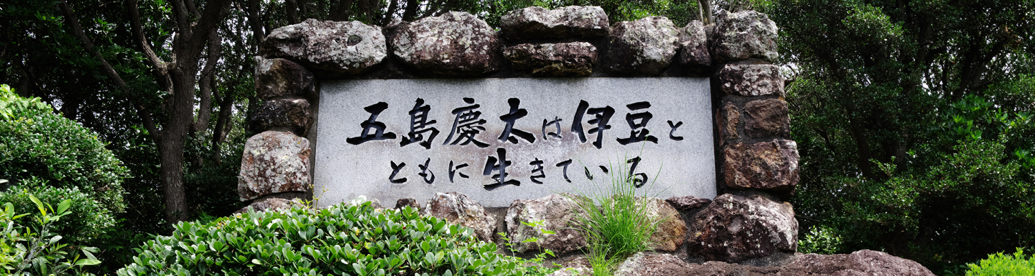 IZU PIX